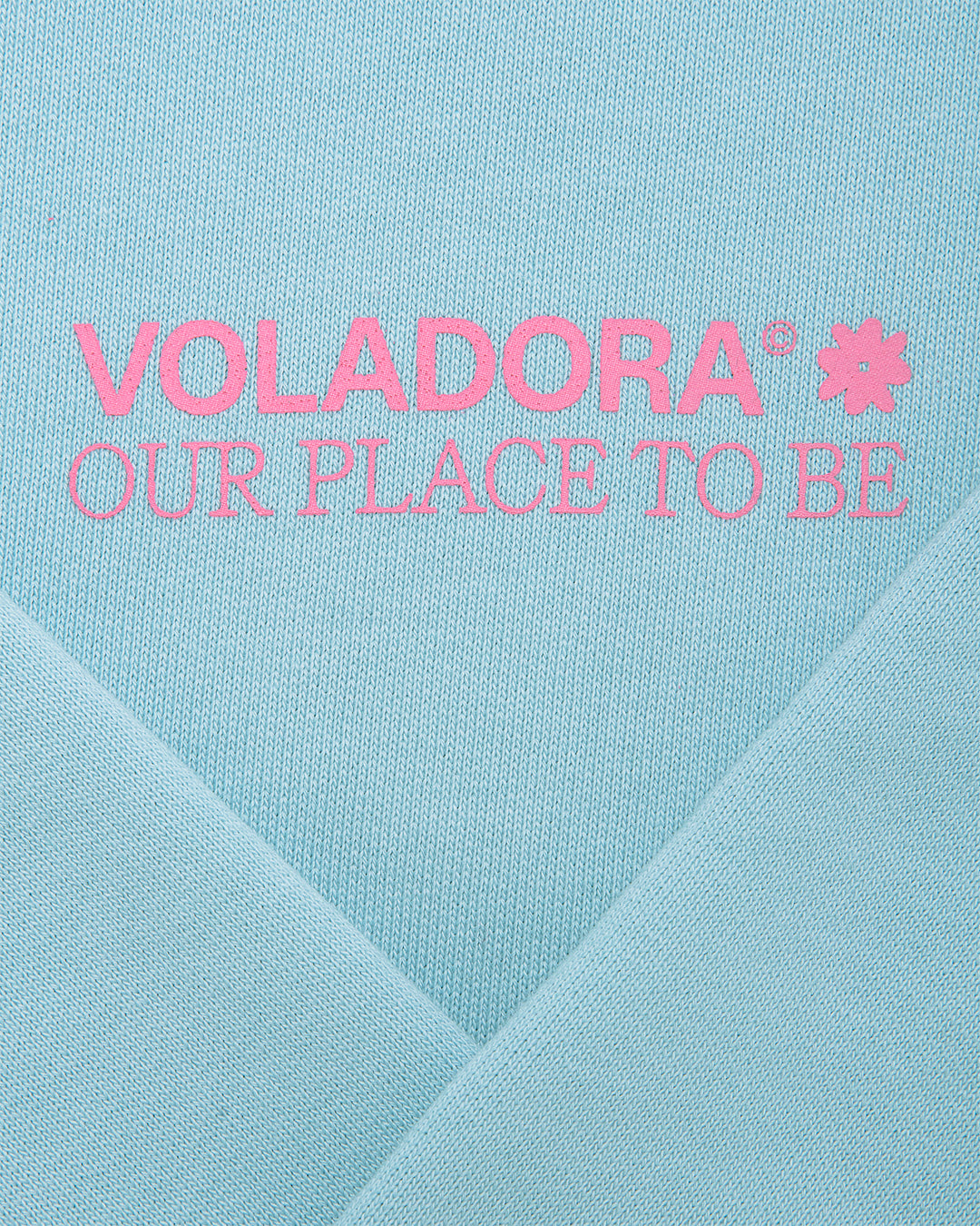 Crewneck Vlower- Light Blue